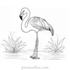 flamingo coloring page elegant