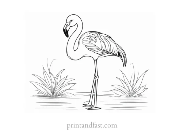 flamingo coloring page elegant