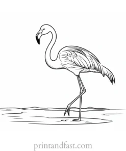 flamingo coloring page flamingo themed