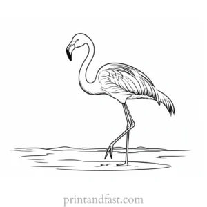 flamingo coloring page flamingo themed