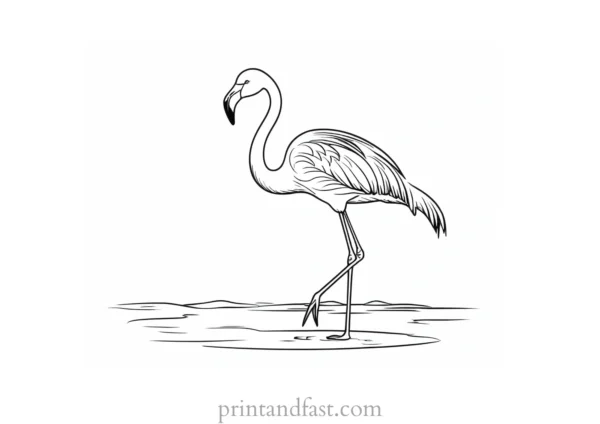 flamingo coloring page flamingo themed