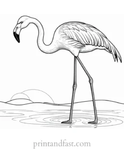 flamingo coloring page for kids