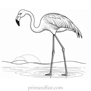 flamingo coloring page for kids