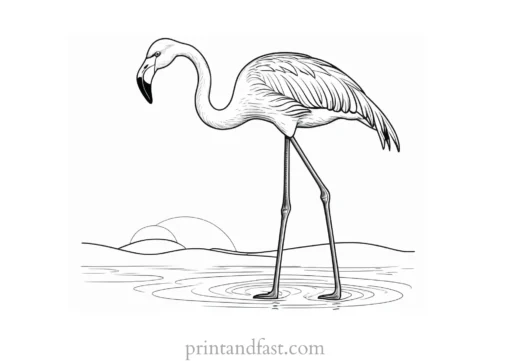 flamingo coloring page for kids