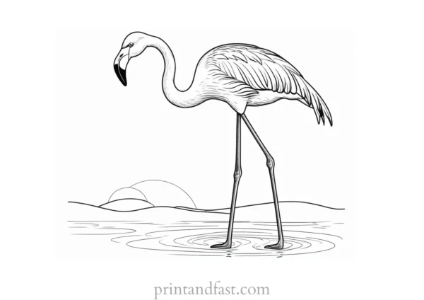 flamingo coloring page for kids