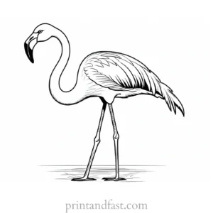 flamingo coloring page free