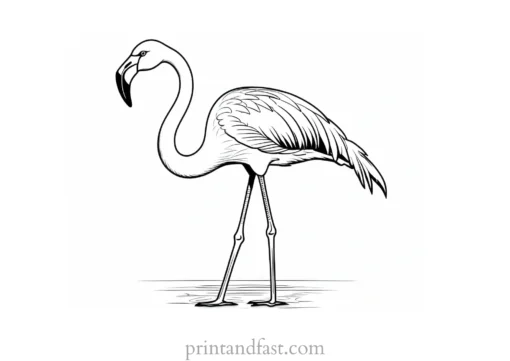 flamingo coloring page free