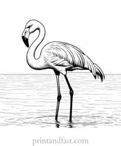 flamingo coloring page hard