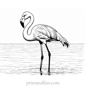 flamingo coloring page hard