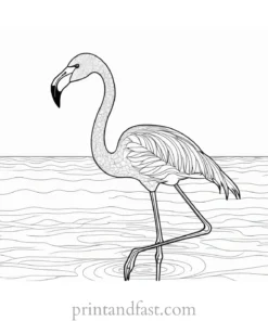 flamingo coloring page intricate