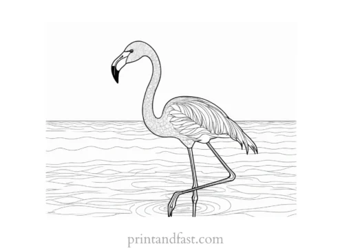 flamingo coloring page intricate