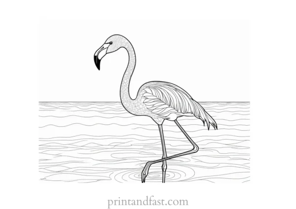 flamingo coloring page intricate