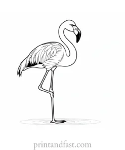 flamingo coloring page outline