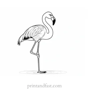 flamingo coloring page outline