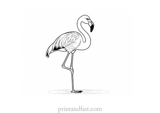 flamingo coloring page outline