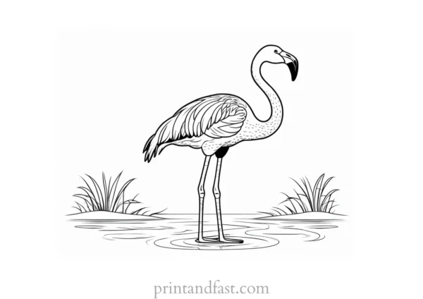 flamingo coloring page printable