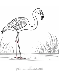 flamingo coloring page simple