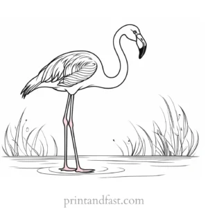 flamingo coloring page simple