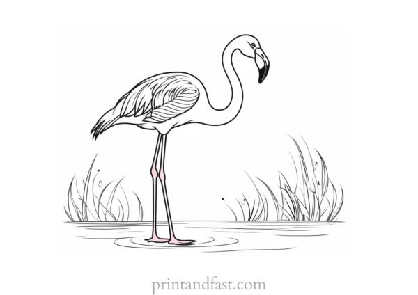 flamingo coloring page simple