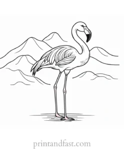 flamingo coloring page spring