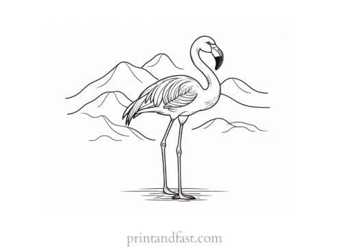 flamingo coloring page spring