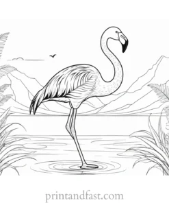 flamingo coloring page summer