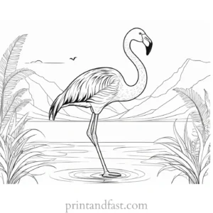 flamingo coloring page summer