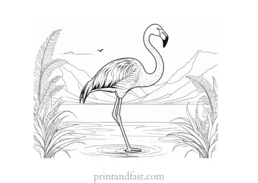 flamingo coloring page summer