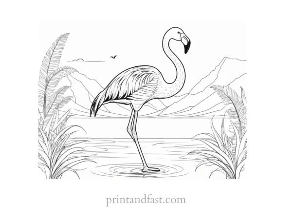 flamingo coloring page summer