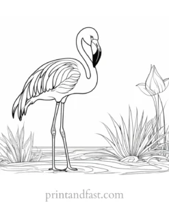 flamingo coloring page tropical