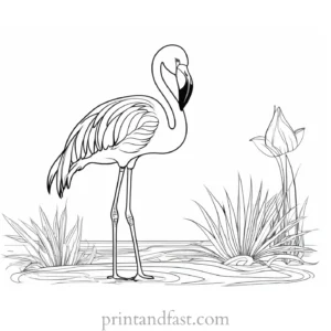 flamingo coloring page tropical