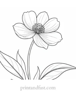 flower coloring page for adults