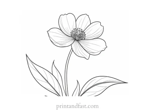 flower coloring page for adults