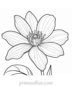 flower coloring page printable