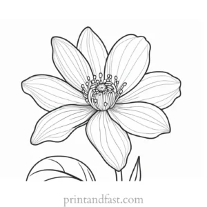 flower coloring page printable