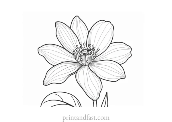 flower coloring page printable