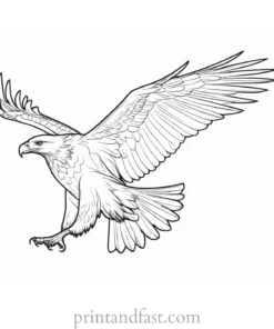 flying eagle coloring page