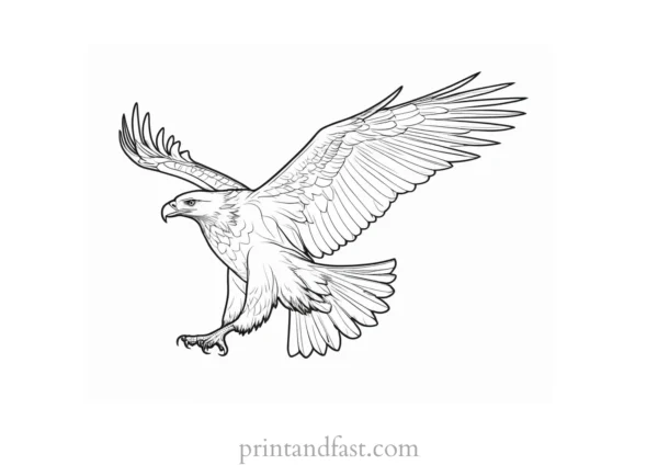 flying eagle coloring page