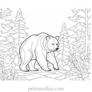 forest Bear Coloring Page