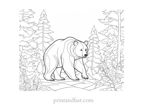 forest Bear Coloring Page