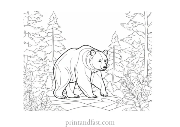 forest Bear Coloring Page