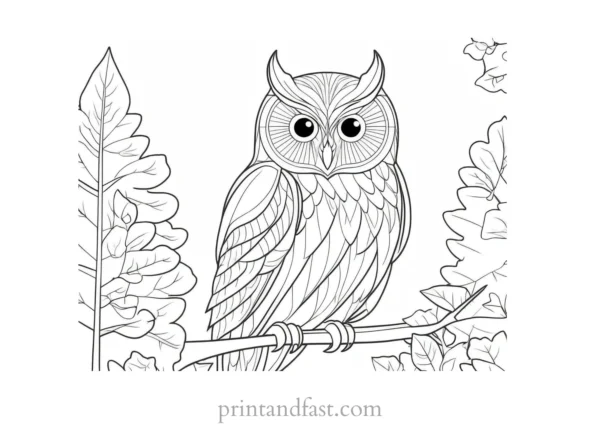 forest owl coloring page