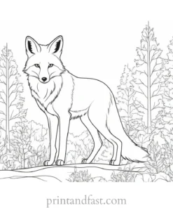 fox coloring page with snow