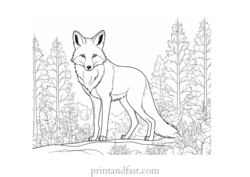 fox coloring page with snow