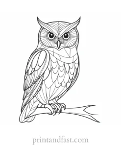 free owl coloring page