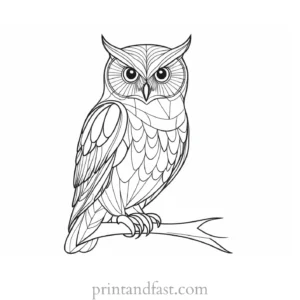 free owl coloring page