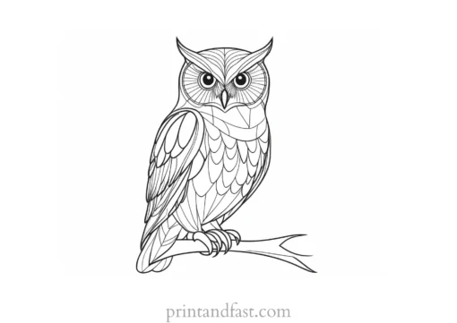 free owl coloring page