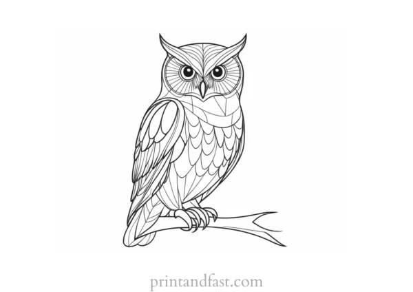 free owl coloring page