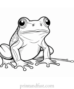 frog coloring page for kids