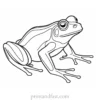 frog coloring page printable